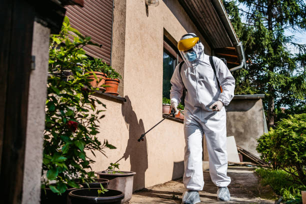 Best Best Pest Control Companies  in Hutto, TX