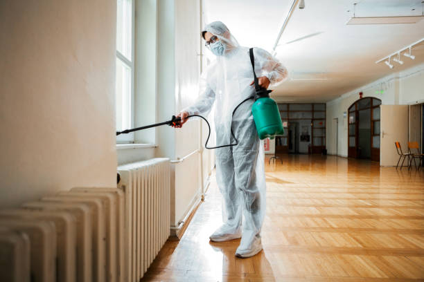 Best Commercial Pest Control Services  in Hutto, TX